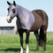 CoolAid Equine Lycra Head and Shoulder Hood